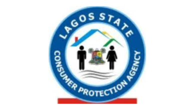 Lagos schools