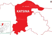 Katsina diphtheria outbreak