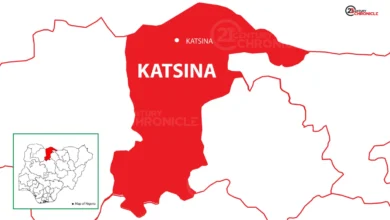 Katsina diphtheria outbreak