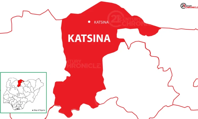 Katsina diphtheria outbreak