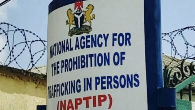 NAPTIP rescues over 180 trafficked children