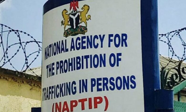 NAPTIP rescues over 180 trafficked children