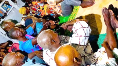 Borno children in captivity