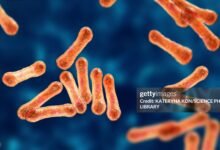 Diphtheria vaccination in Kano