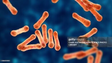 Diphtheria vaccination in Kano