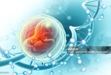 Baby born from 22-year-old frozen embryo