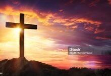 church abuse database
