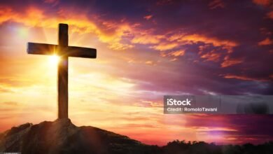 church abuse database