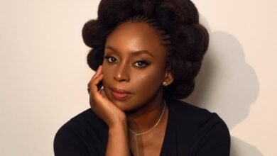 lagos-court-inquest-chimamanda-adichie-son-death