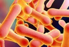 Diphtheria outbreak in Kano