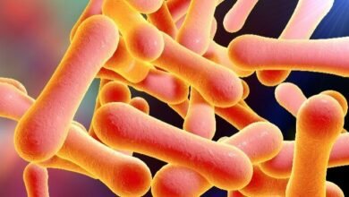Diphtheria outbreak in Kano