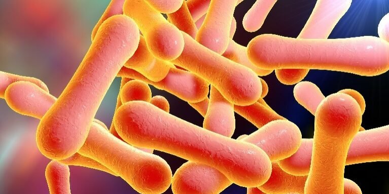 Diphtheria outbreak in Kano